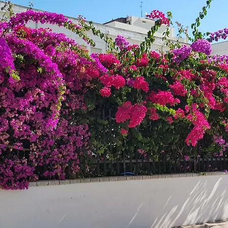 Apartment Jardines De Lunamar